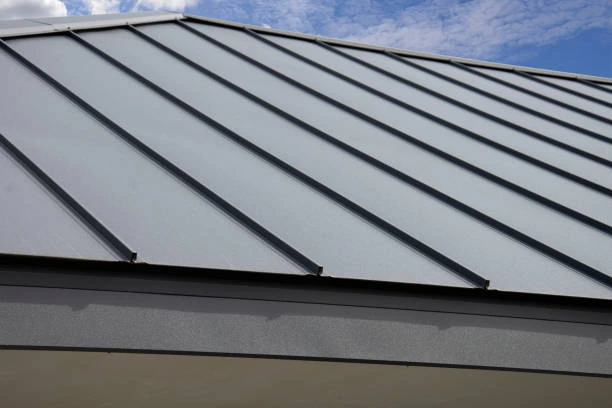 Professional crew performing metal roofing services on a residential home