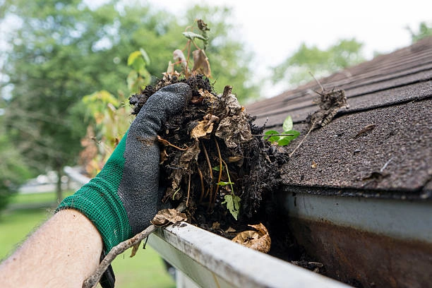 Professional Roof Maintenance and gutter cleaning service to remove leaves and debris for proper water flow.