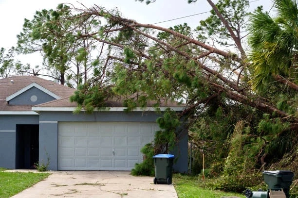 Storm damage roof repair near me offering fast, reliable service to fix storm-related damage.