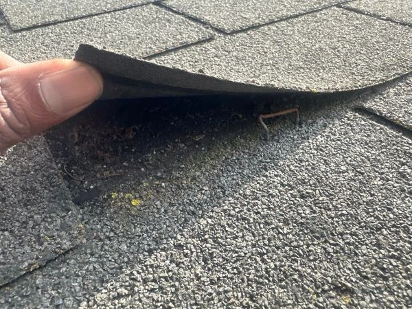 Comparison of roof repair vs. roof replacement by Worthy Construction, highlighting signs, costs, and tips for protecting and extending your roof’s life.