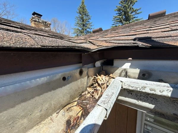 Tree coverage over a home affecting gutter maintenance with leaves, branches, and debris collecting near the roofline.