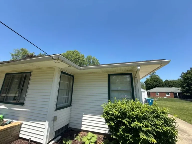 Seamless gutter system installed along a home roofline, showing clean continuous gutters designed to reduce leaks compared to sectional gutters.