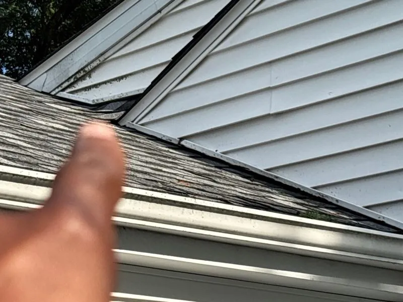 Mildew on siding caused by moisture, shade, and poor airflow on a home exterior.