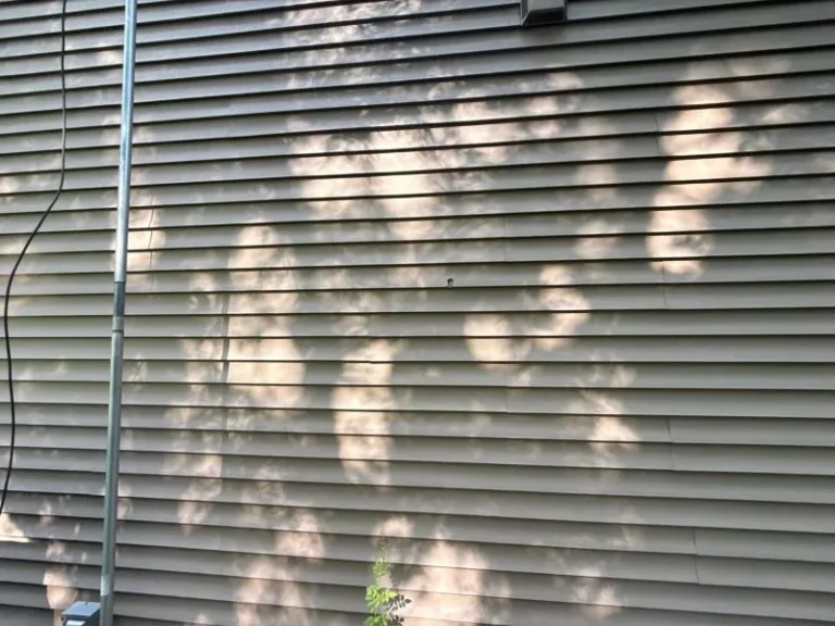 Damaged siding with visible cracks and gaps that allow insects and pests to enter behind exterior panels.