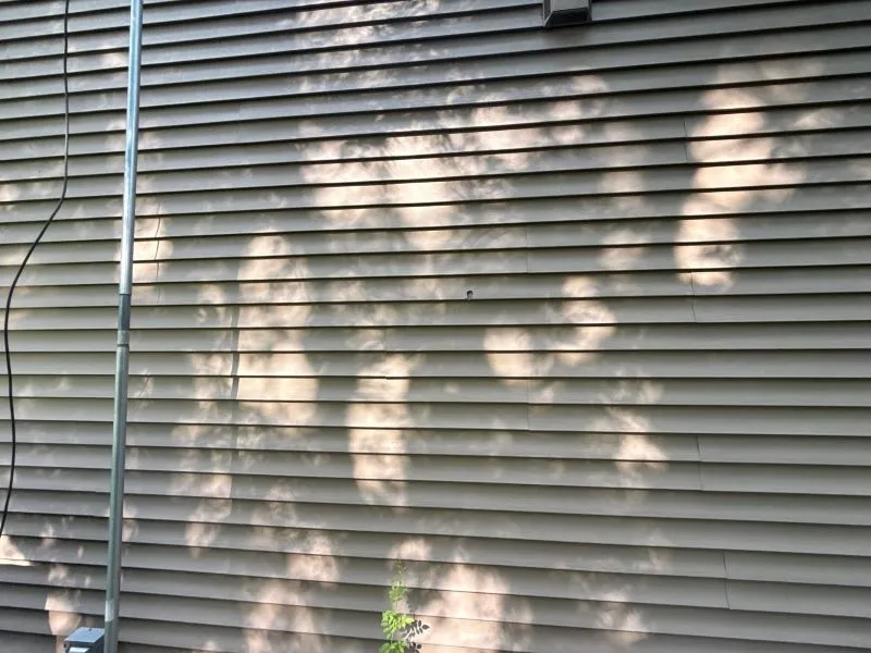 Damaged siding with visible cracks and gaps that allow insects and pests to enter behind exterior panels.